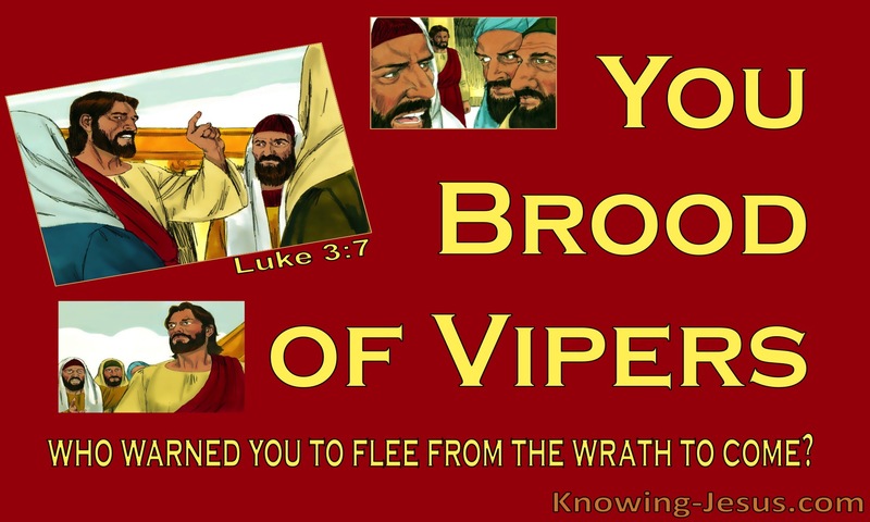 Luke 3:7 You Brood Of Vipers (red)